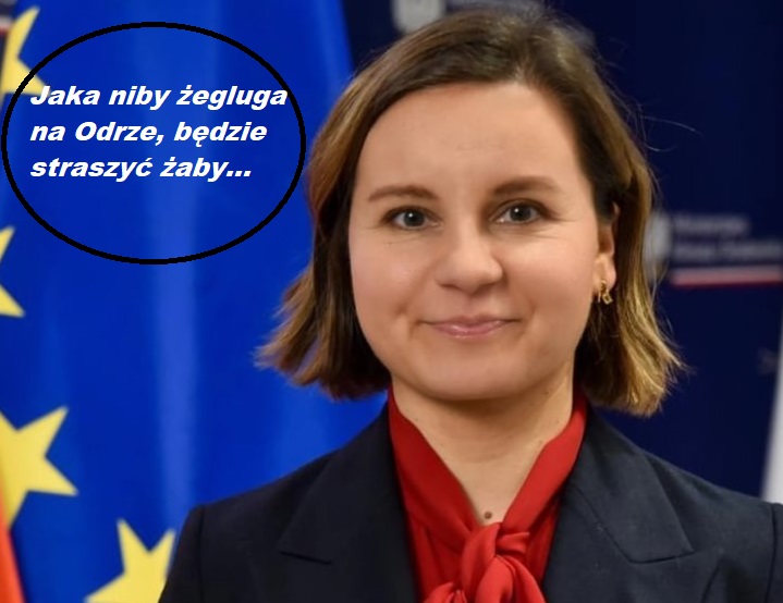 Wiceministra środowiska